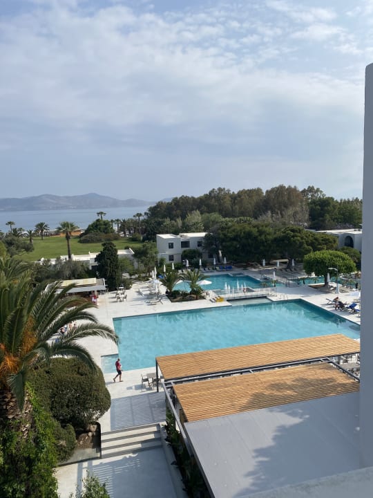 Pool Caravia Beach Hotel Marmari HolidayCheck Kos Griechenland