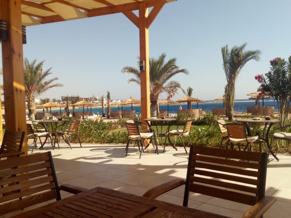 Blick Aus Der Bar Coral Sun Beach Safaga Holidaycheck Hurghada