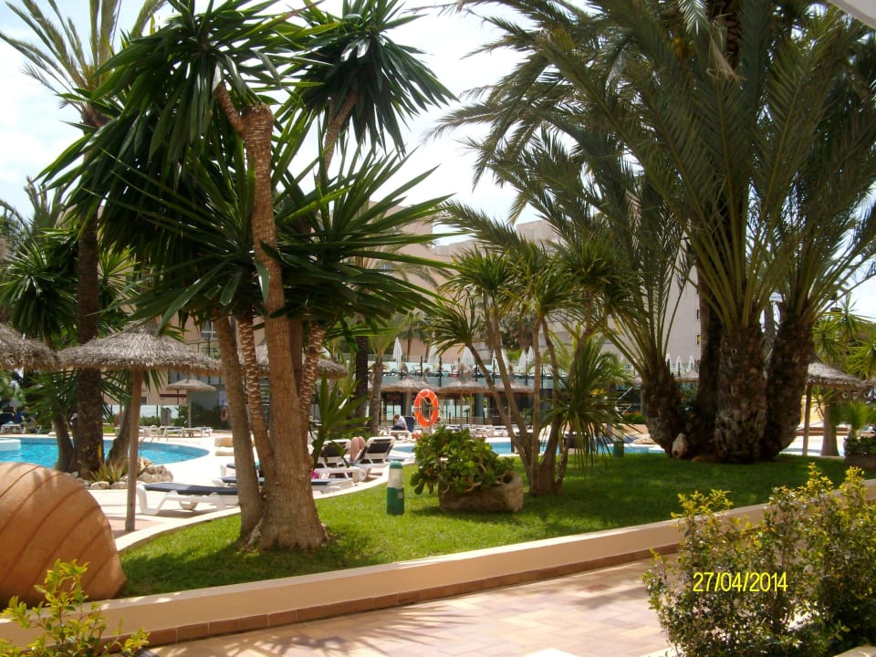 Garten Und Pool Aparthotel Marins Playa Cala Millor HolidayCheck