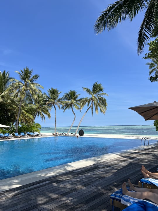 Pool Meeru Maldives Island Resort Dhifushi Holidaycheck Kaafu