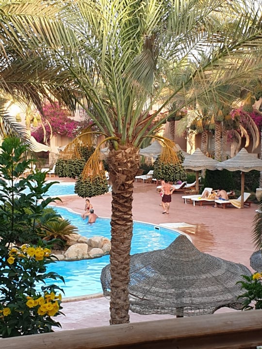 Pool Dream Lagoon And Aqua Park Resort Marsa Alam Holidaycheck