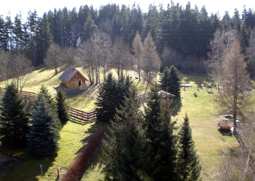 Blick aus dem Hotelzimmer Hotel Am Bühl Eibenstock