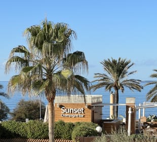 Ausblick Iberostar Selection Playa De Palma Platja De Palma Playa