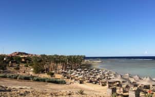 Schonstes Riff In Agypten Gesucht Tauchen Schnorcheln Forum Holidaycheck