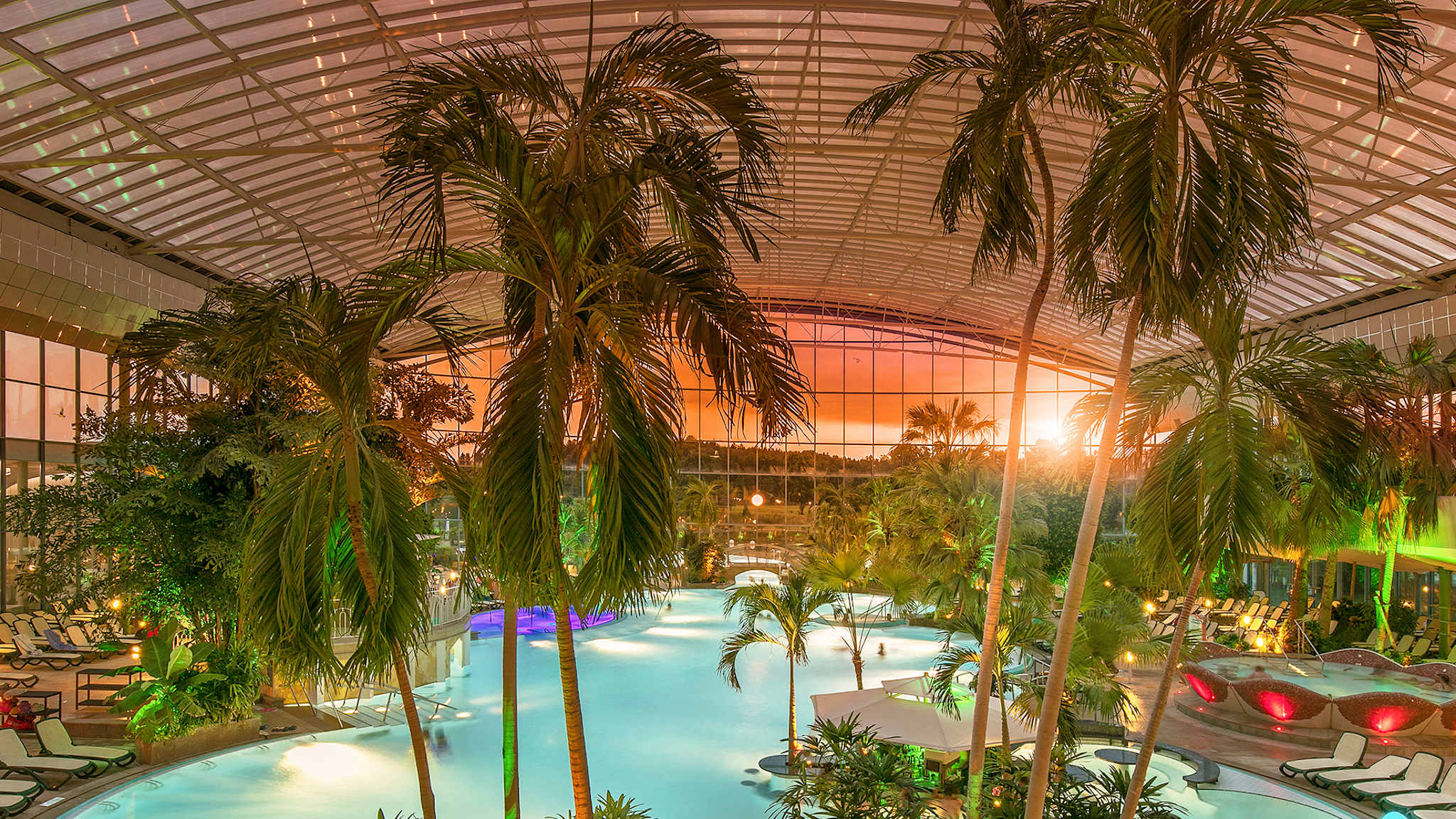 Blick auf einen Pool mit Palmen