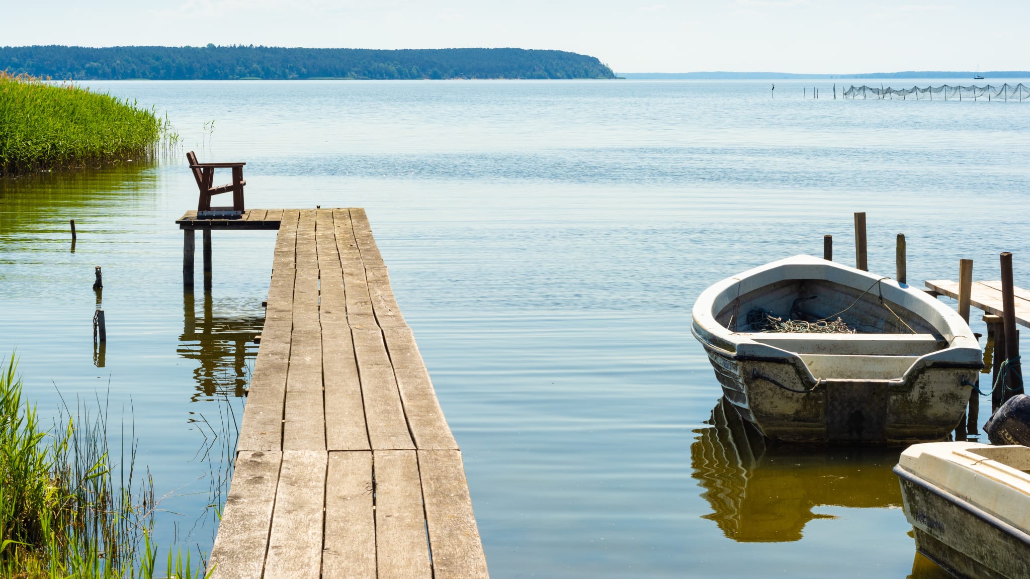 Achterwasser, Usedom © kentauros - stock.adobe.com