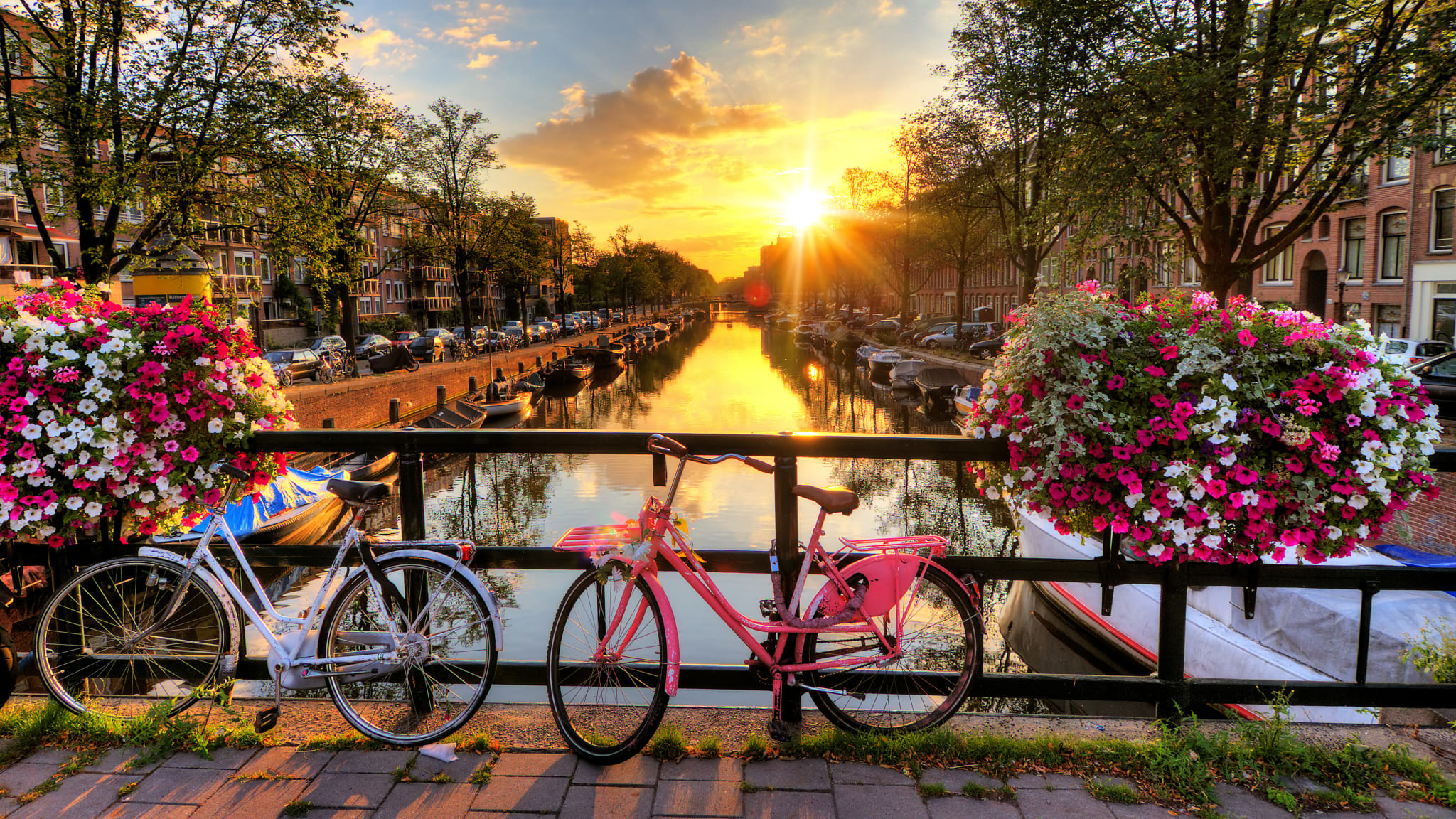 Sonnenuntergang über den Grachten von Amsterdam © dennisvdwater - stock.adobe.com