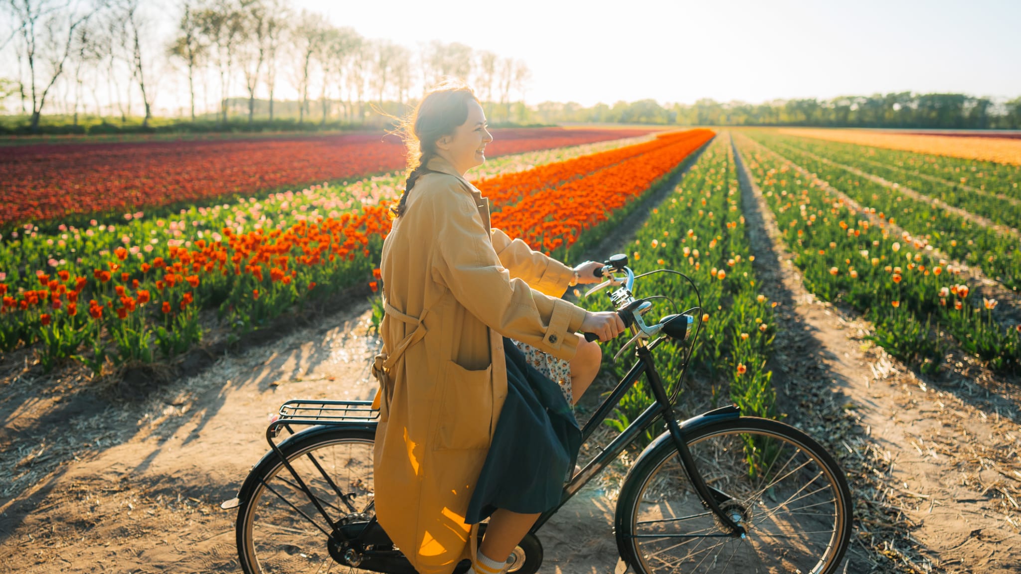 Tulpenfelder in Amsterdam ©Oleh_Slobodeniuk/E+ via Getty Images