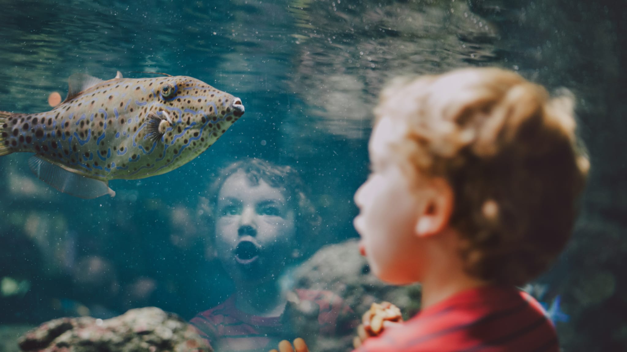 Aquarium in Korsika ©Guido Mieth/Stone via Getty Images