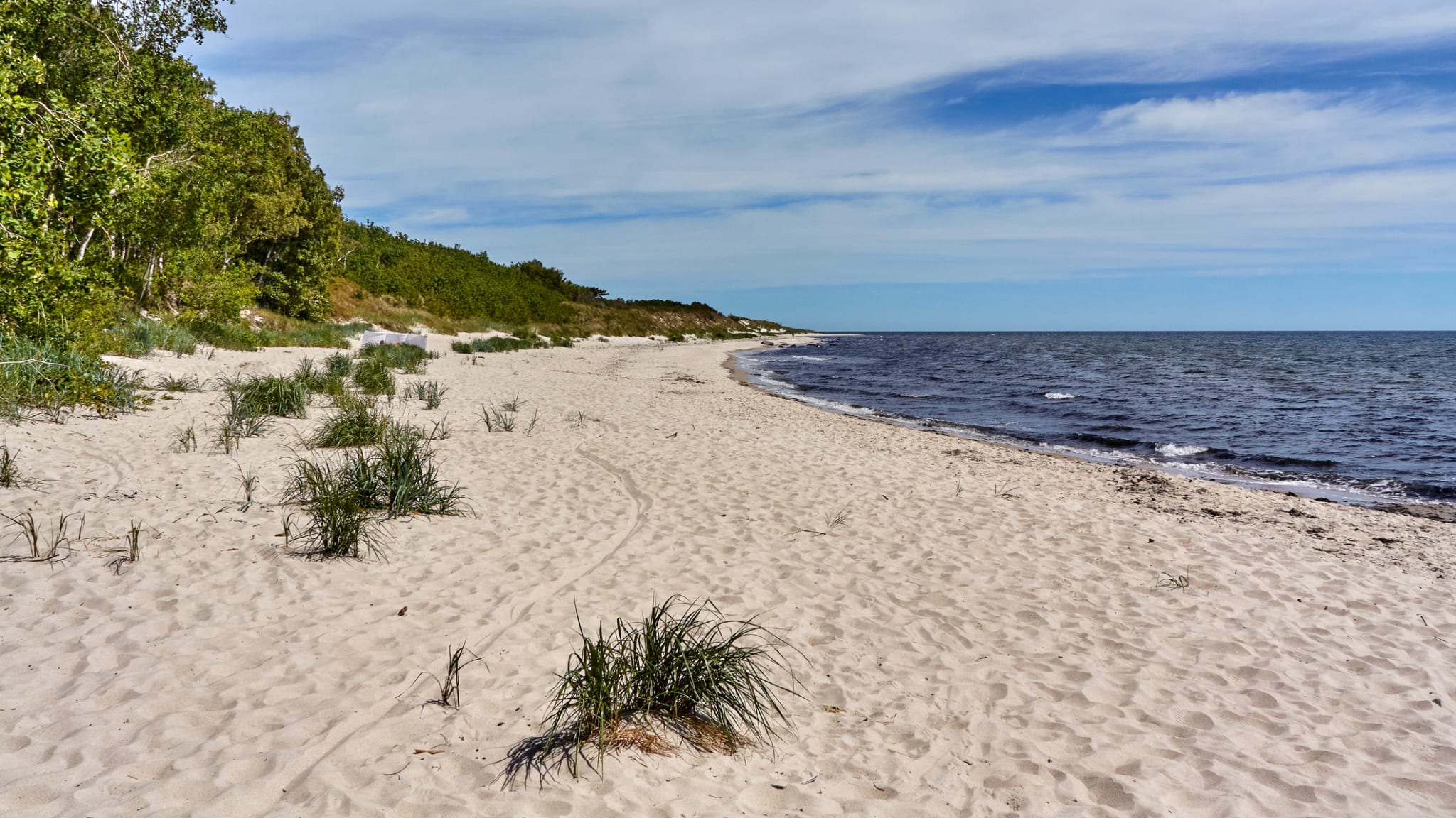 Ausblick Ostseestrand an der Südköste auf der Insel Bornholm © iStock.com/CORTUUM