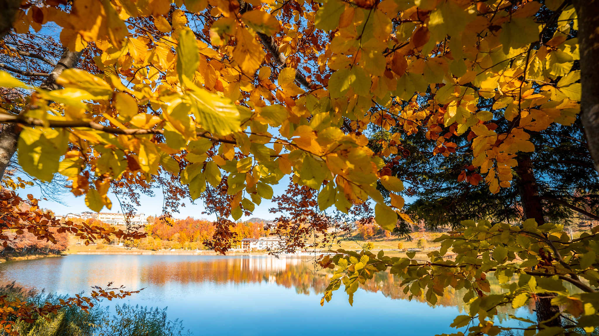 Blick durch leuchtend gelbes Herbstlaub auf den ruhigen, blau schimmernden Lavarone-See; am gegenüberliegenden Ufer stehen bunte Bäume und einzelne Gebäude.