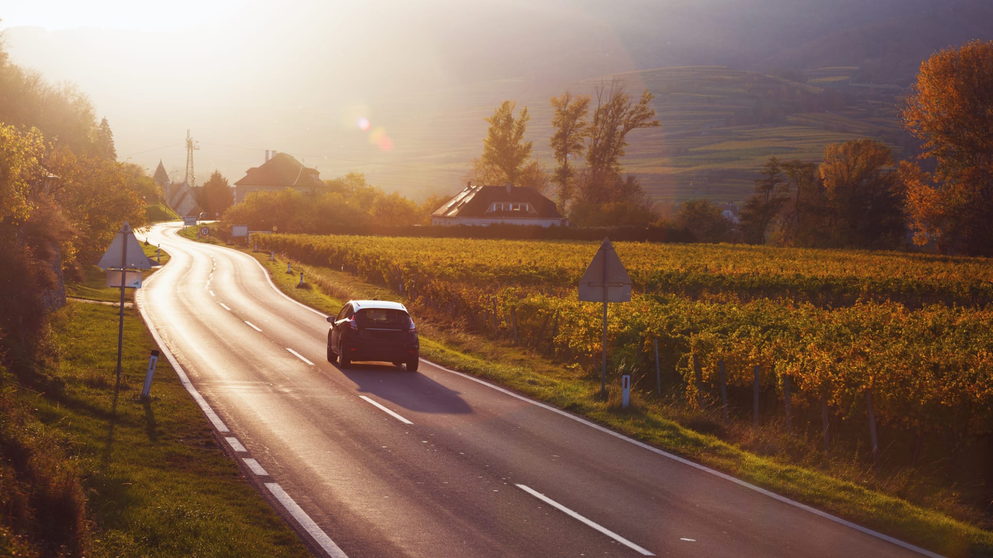 Auto fährt auf Bergstraße durch die Weinberge bei Sonnenuntergang © iStock.com/azgek
