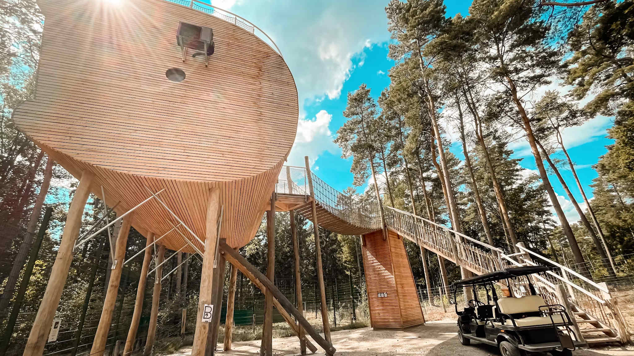 Baumhaushotel Tree Inn in Niedersachsen mit moderner Holzarchitektur auf Stelzen und Zugang über eine Brücke.