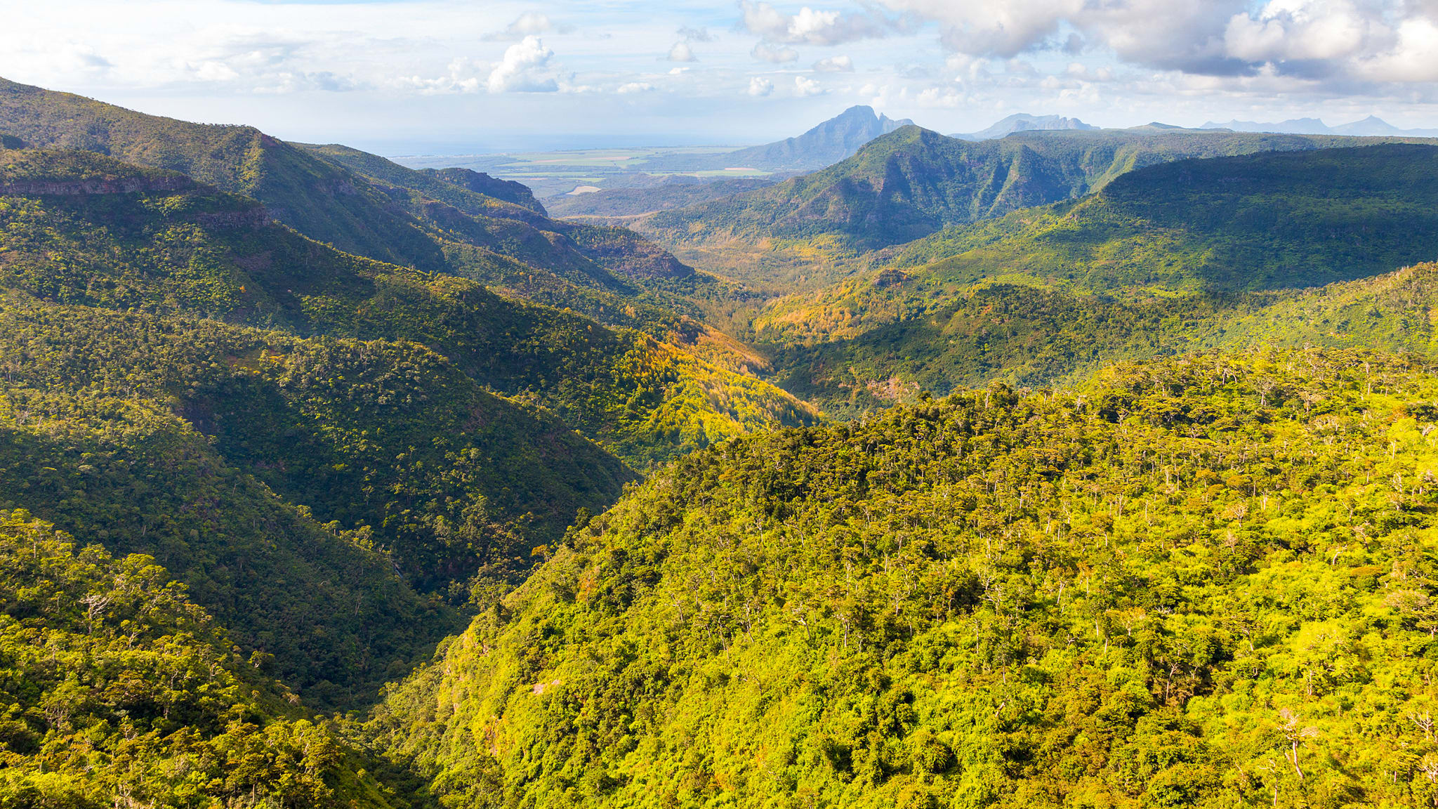 Blick auf ein grünbewaldetes Gebiet