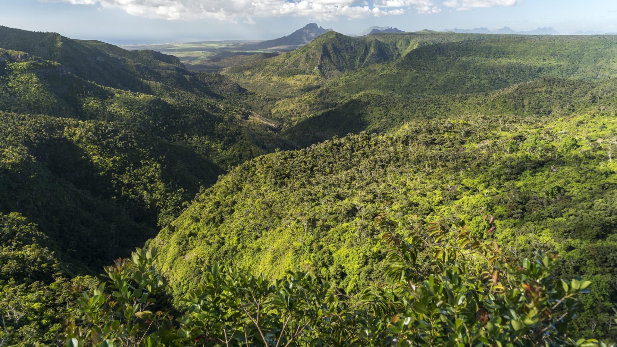 Black-River-Gorges-Nationalpark, Mauritius © peter schickert/imageBROKER via Getty Images