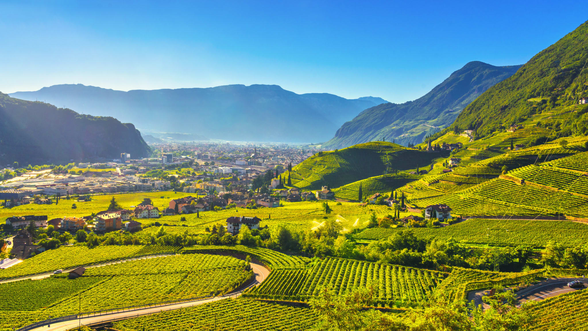 Blick auf die Weinberge in Santa Maddalena Bozen © iStock.com/StevanZZ