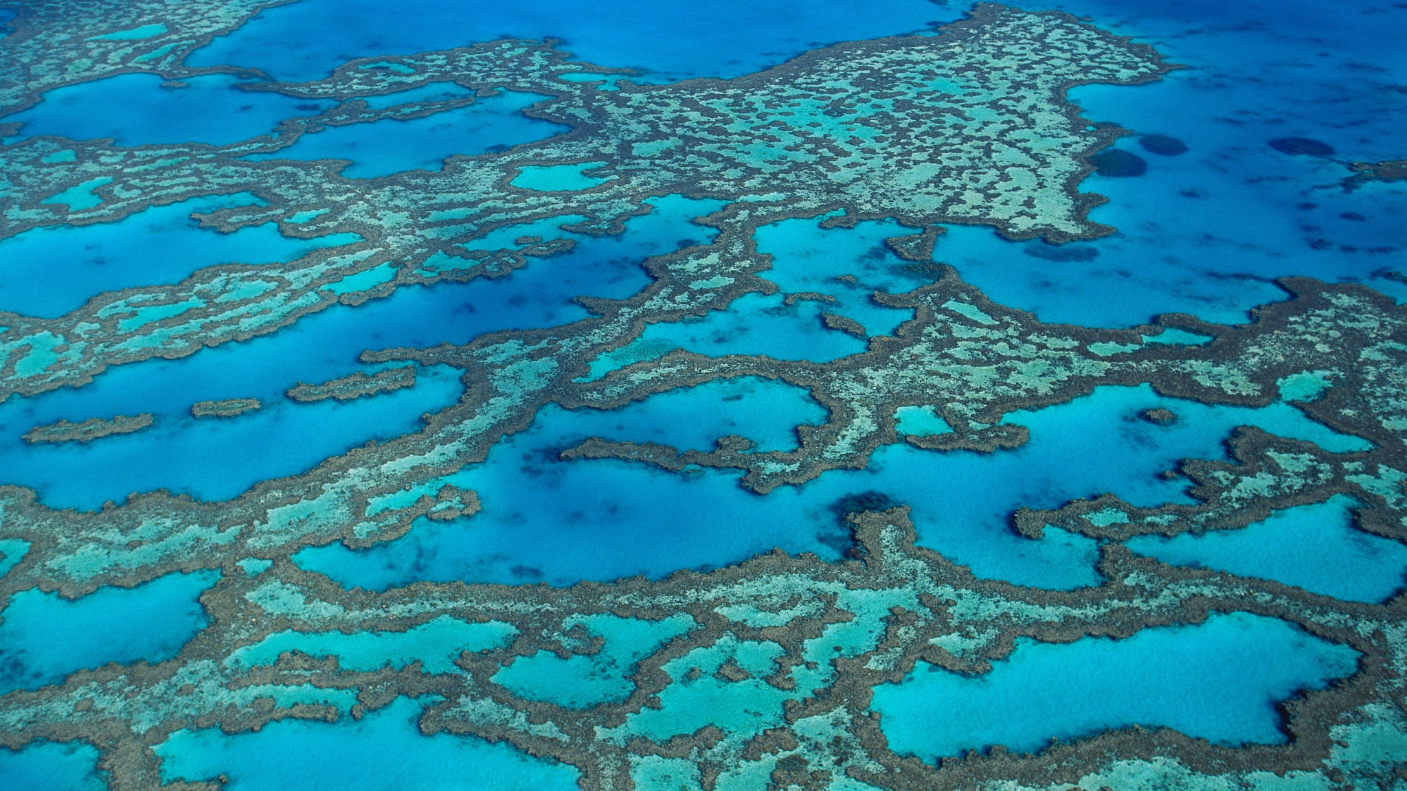 Blick von oben auf das Great Barrier Reef in Queensland, Australien © Jon Foster/HUBER IMAGES