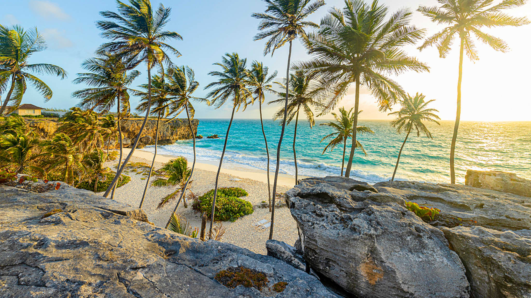 Bottom Bay Beach, Barbados, Karibik ©Marco Arduino/HUBER IMAGES