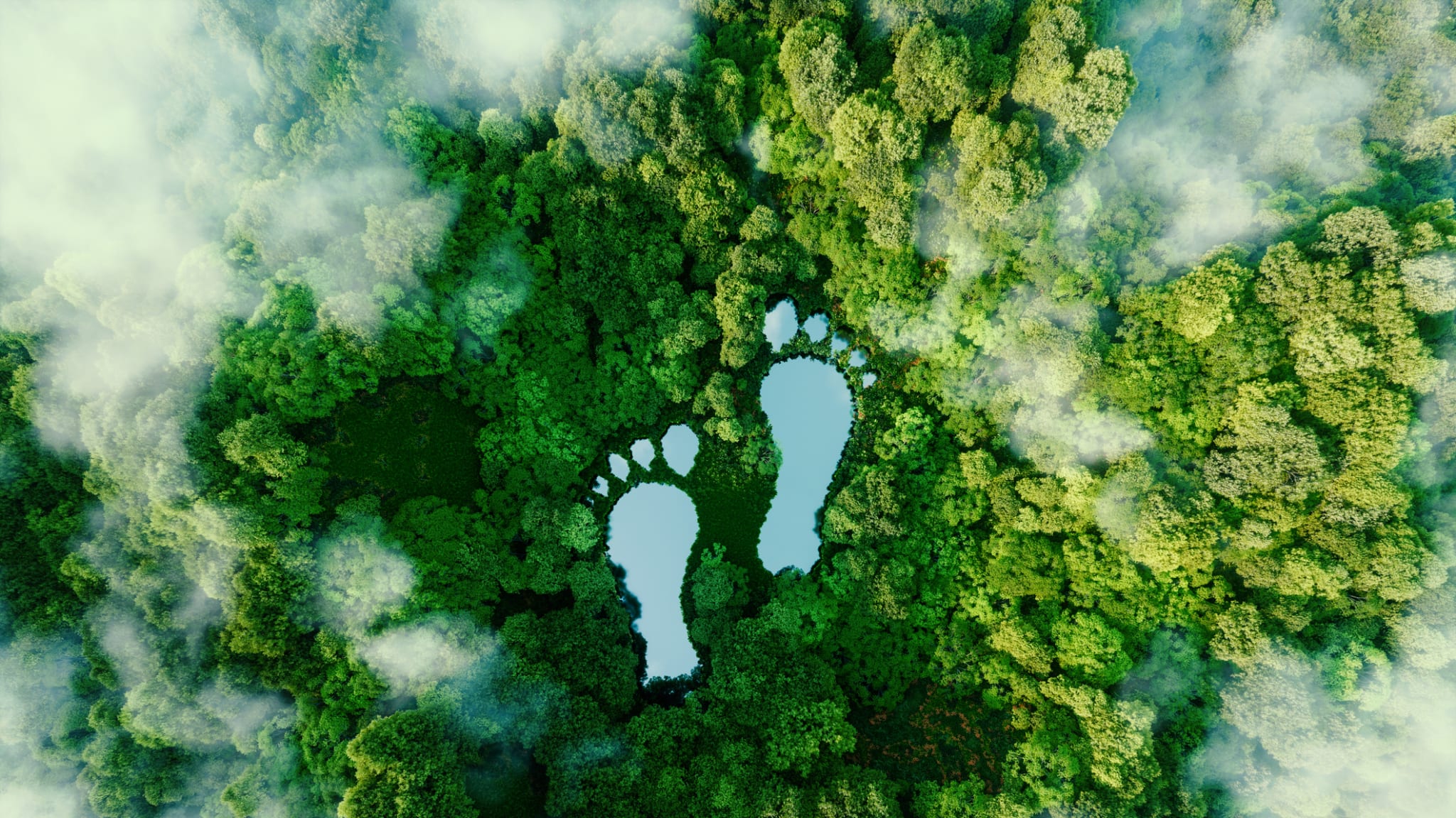 CO2-neutraler Fußabdruck © Petmal/iStock / Getty Images Plus via Getty Images