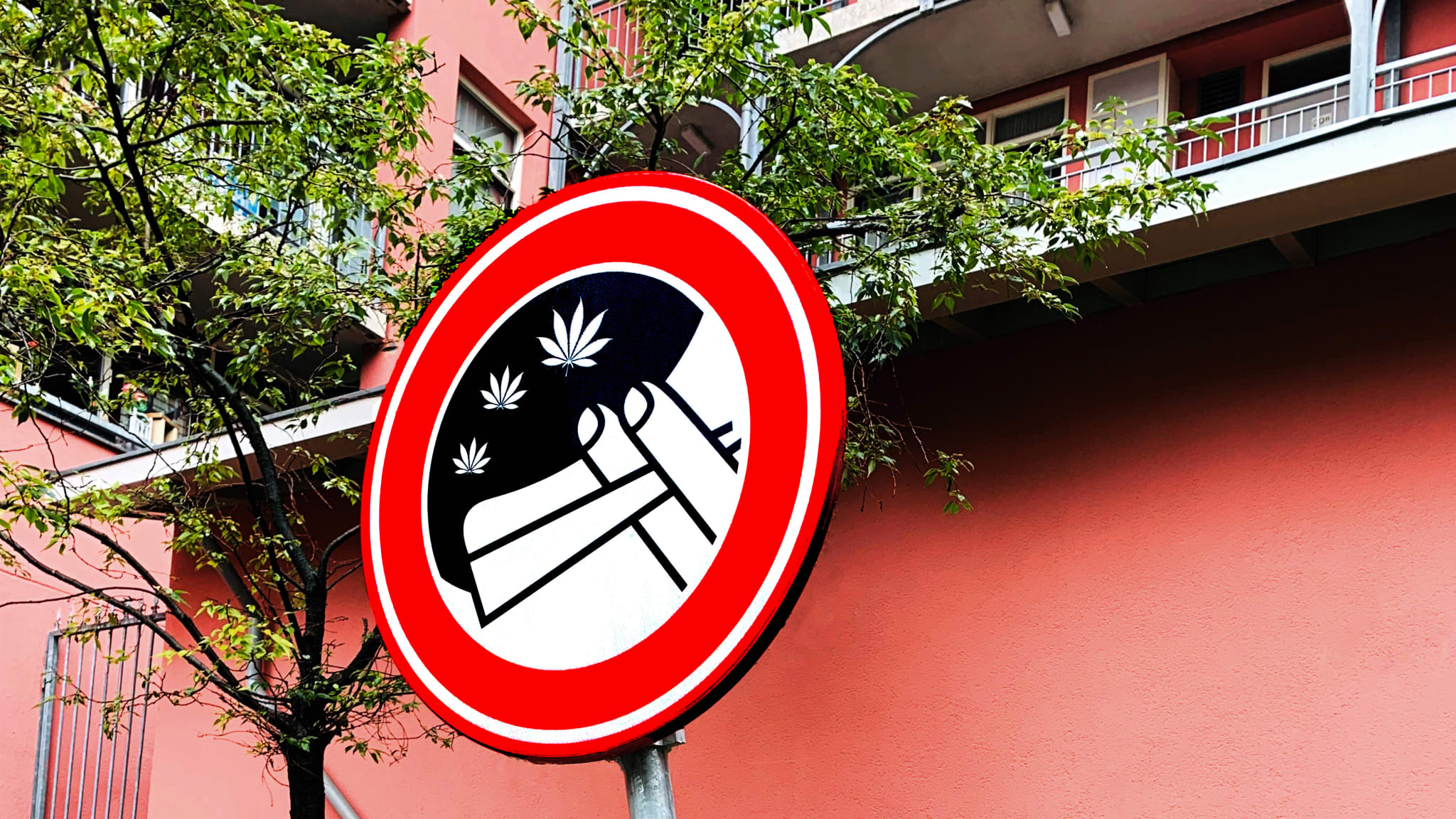 Auch in den Niederlanden darf Cannabis nicht in der Öffentlichkeit konsumiert werden © Viktoriya - stock.adobe.com