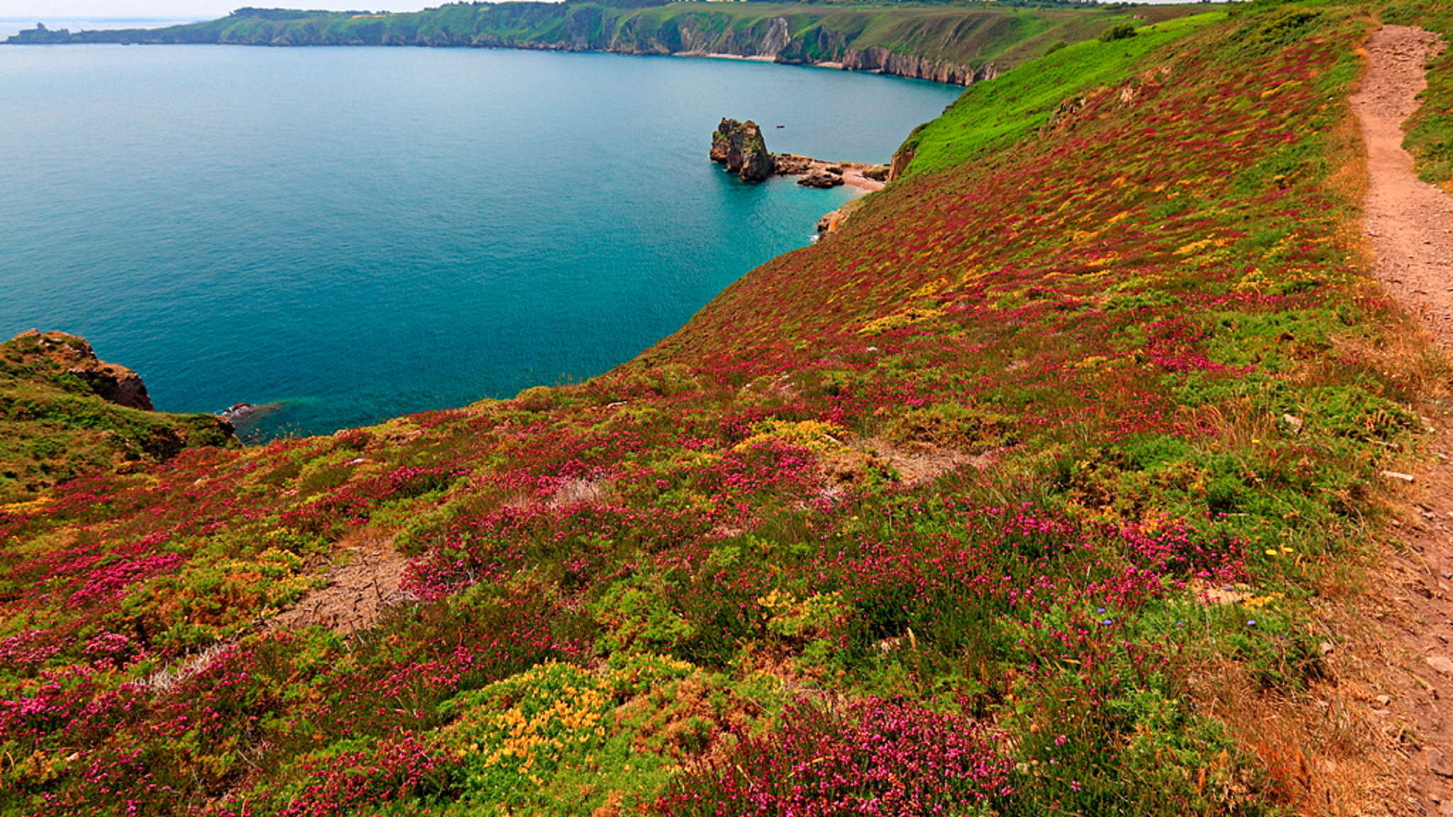 Kap Frehel, Bretagne, Frankreich ©Günter Gräfenhain/HUBER IMAGES