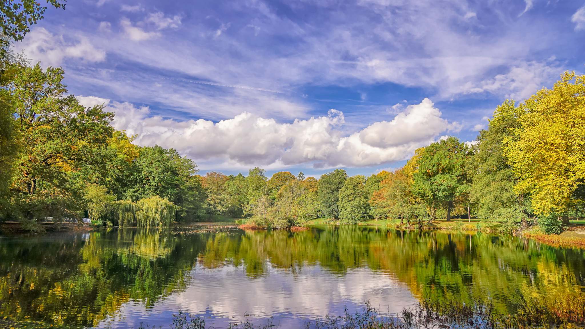 Blick über einen Teich von Bäumen und Wiesen umringt im Clara-Zetkin-Park in Leipzig.