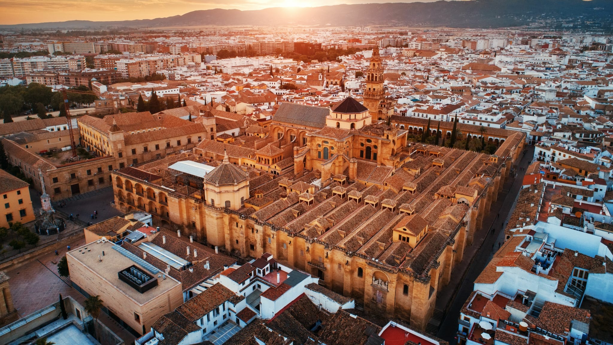 Aerial view of a large cathedral