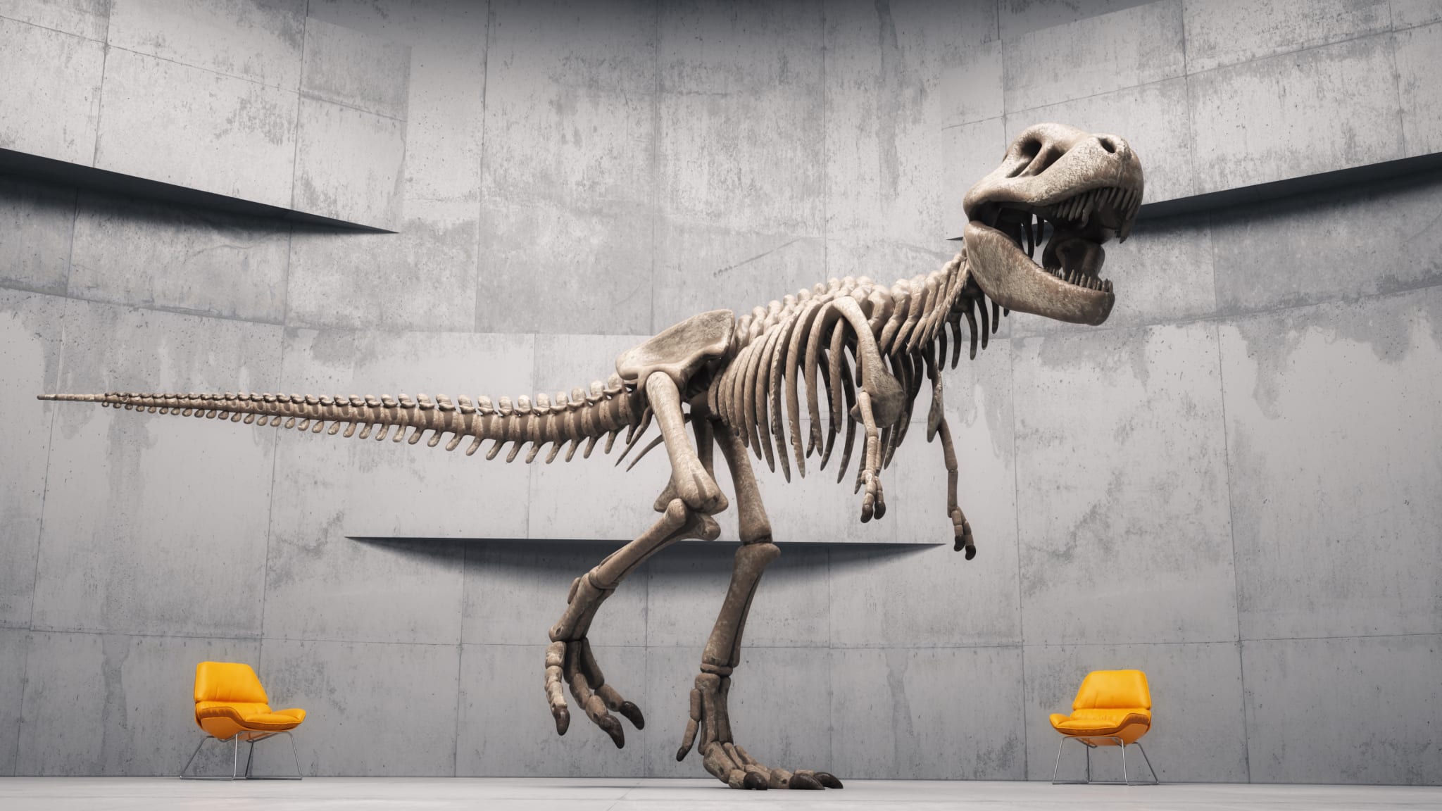 Dinosaurier Skelett, Kreta ©	Orla/iStock / Getty Images Plus via Getty Images