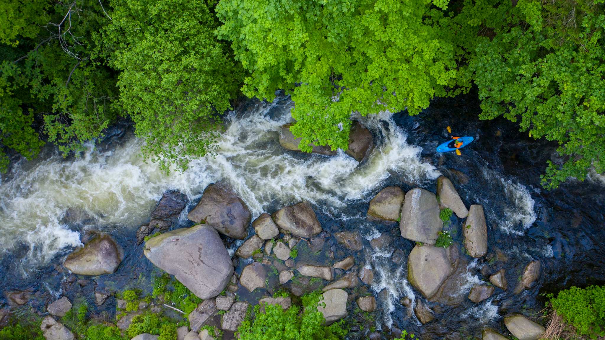 Ein Kajakfahrer navigiert durch die Stromschnellen der Oker, umgeben von dichtem Grün und massiven Felsen.