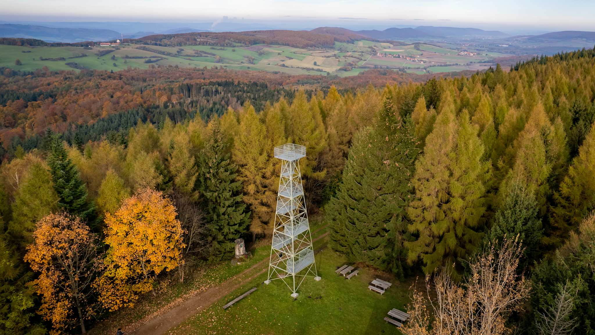 Drohnenaufnahme von einem großen dichten Wald. In der Mitte ist eine Lichtung auf dem ein stählerner weißer Aussichtsturm steht.