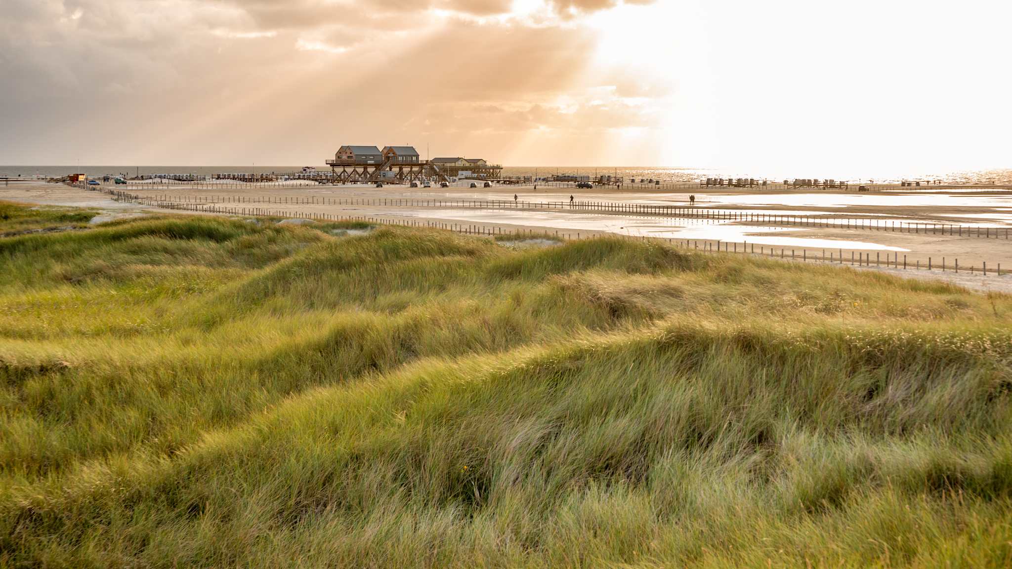 Ausblick von den Dünen auf den Strand, St. Peter-Ording