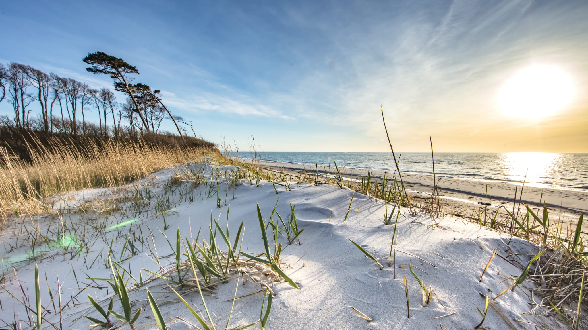Dünen auf Usedom © haiderose - stock.adobe.com