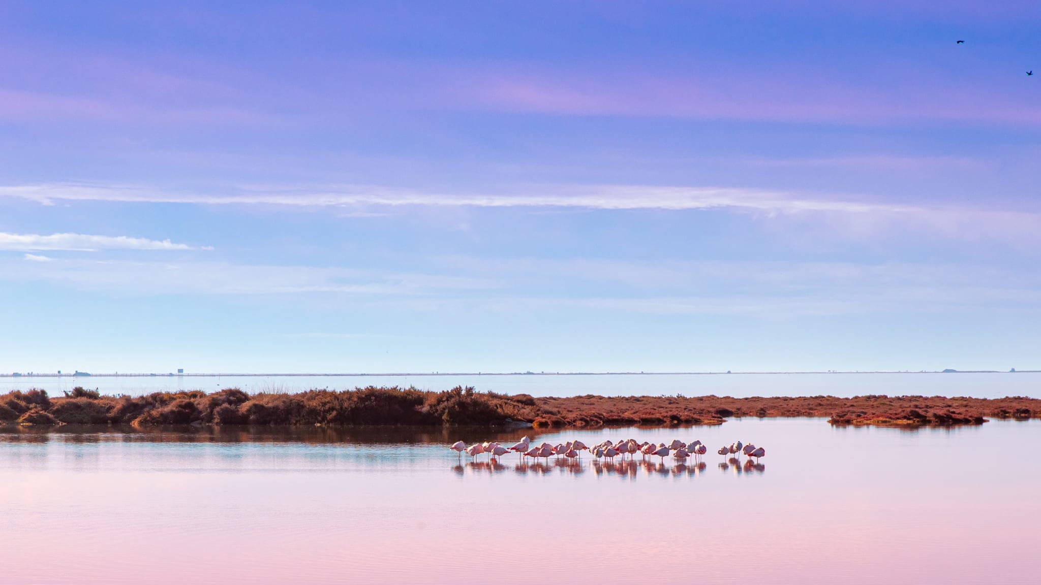 Das Delta de l'Ebre an der Costa Dorada, Spanien