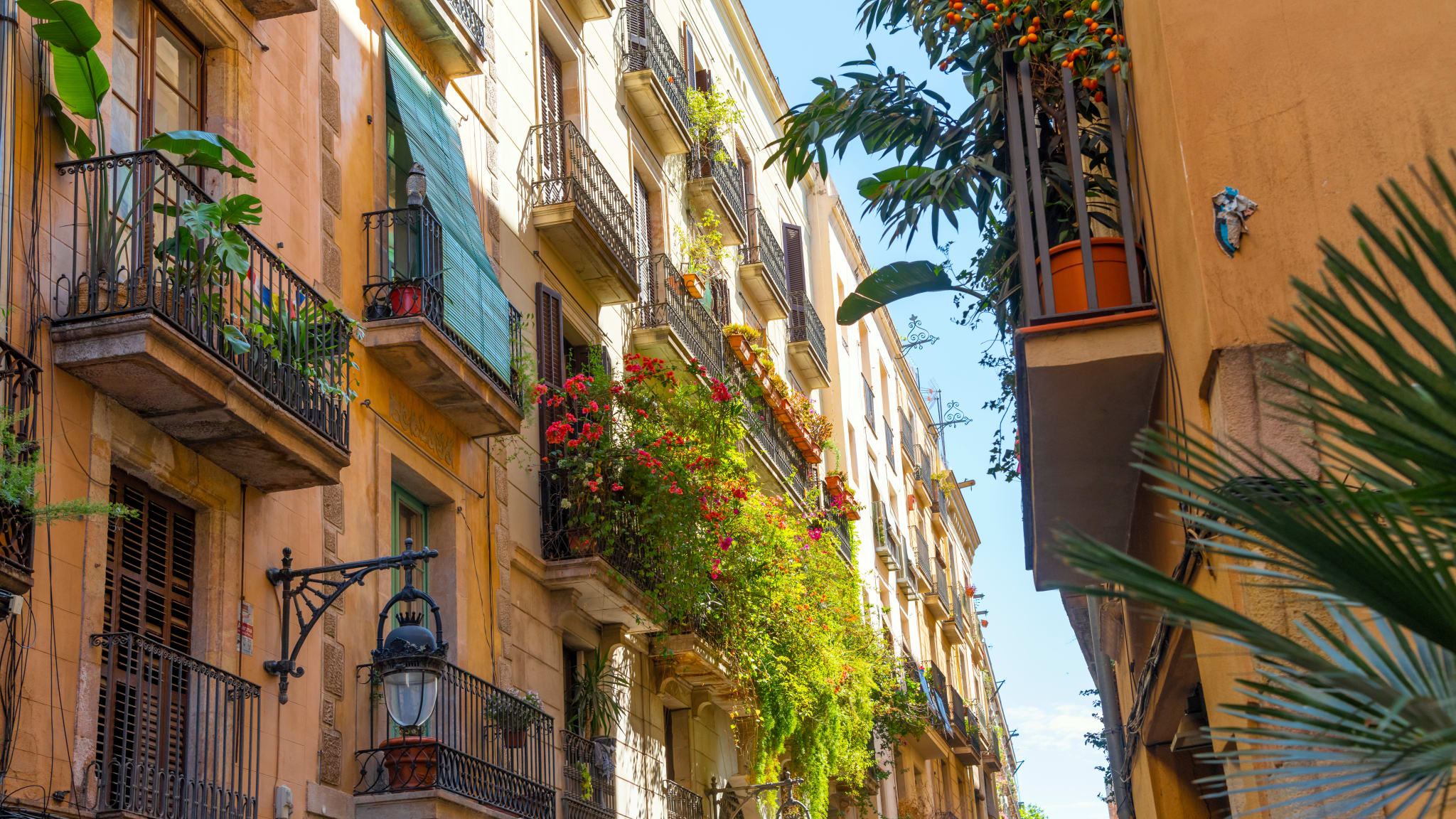 El Born, Barcelona, Spanien  © stock.adobe.com - Kirk Fisher