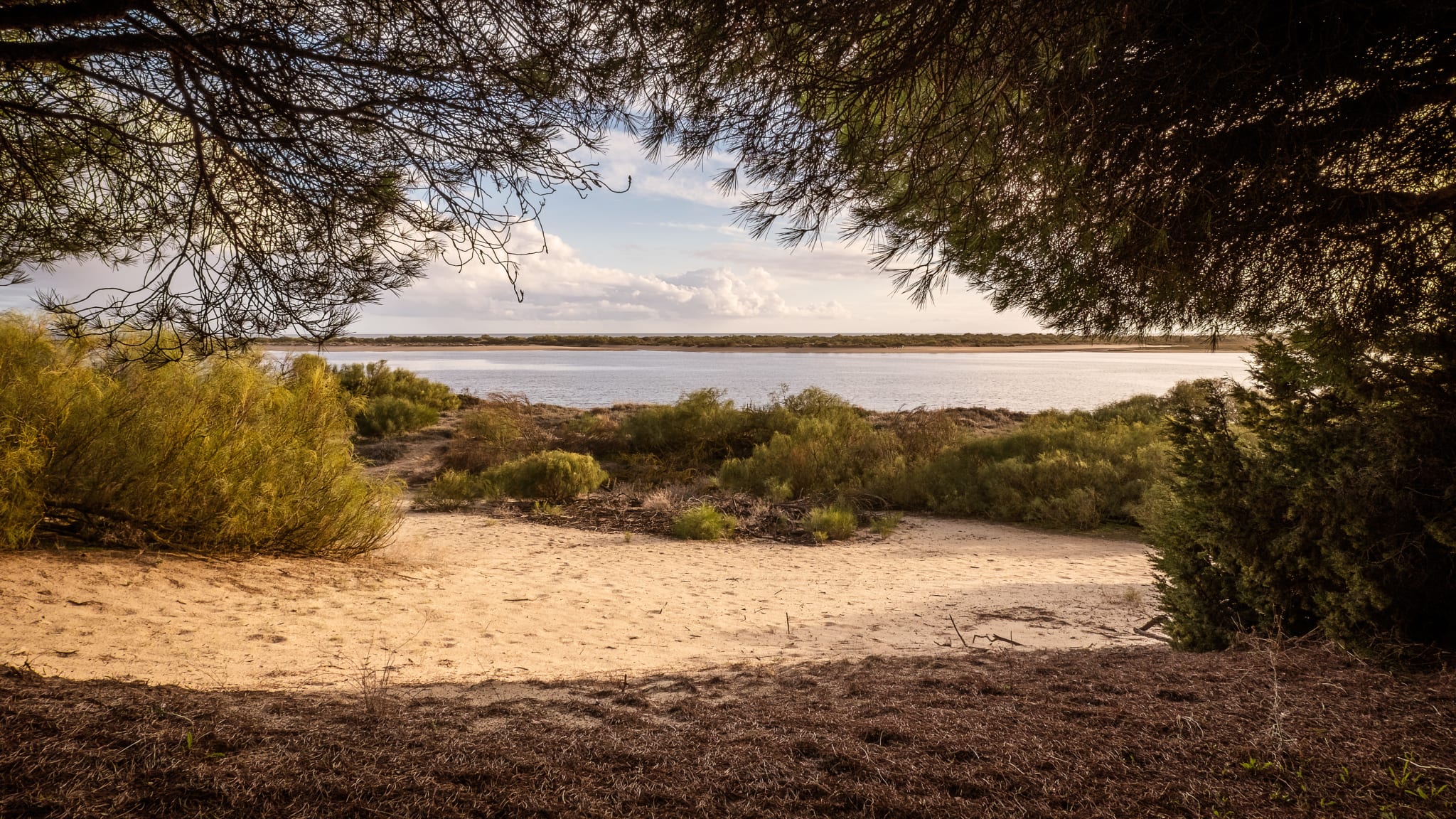 El Rompido, Costa de la Luz © Enrique - stock.adobe.com