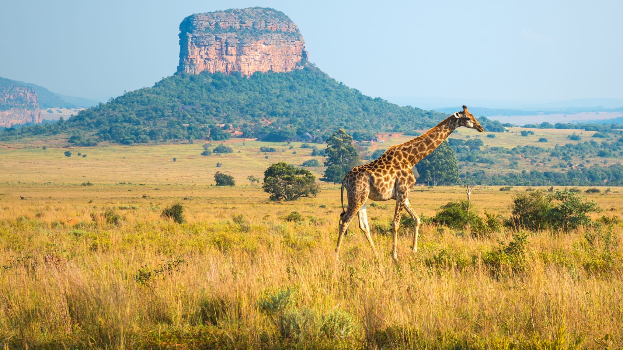 Landschaft in Südafrika ©SL_Photography/iStock / Getty Images Plus via Getty Images