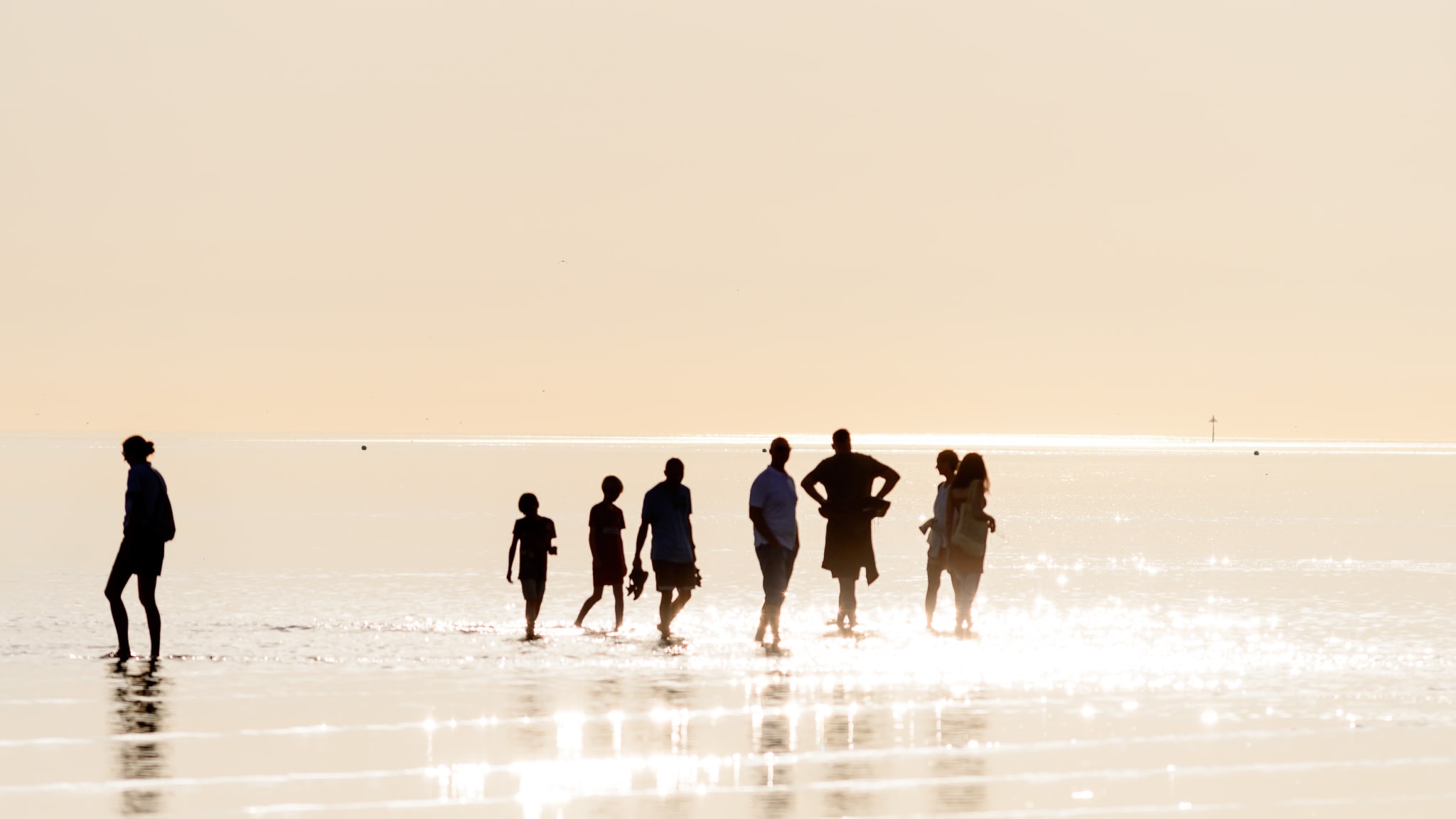 Die Wattwanderung, ein Erlebnis für die ganze Familie © Wolfgang - stock.adobe.com