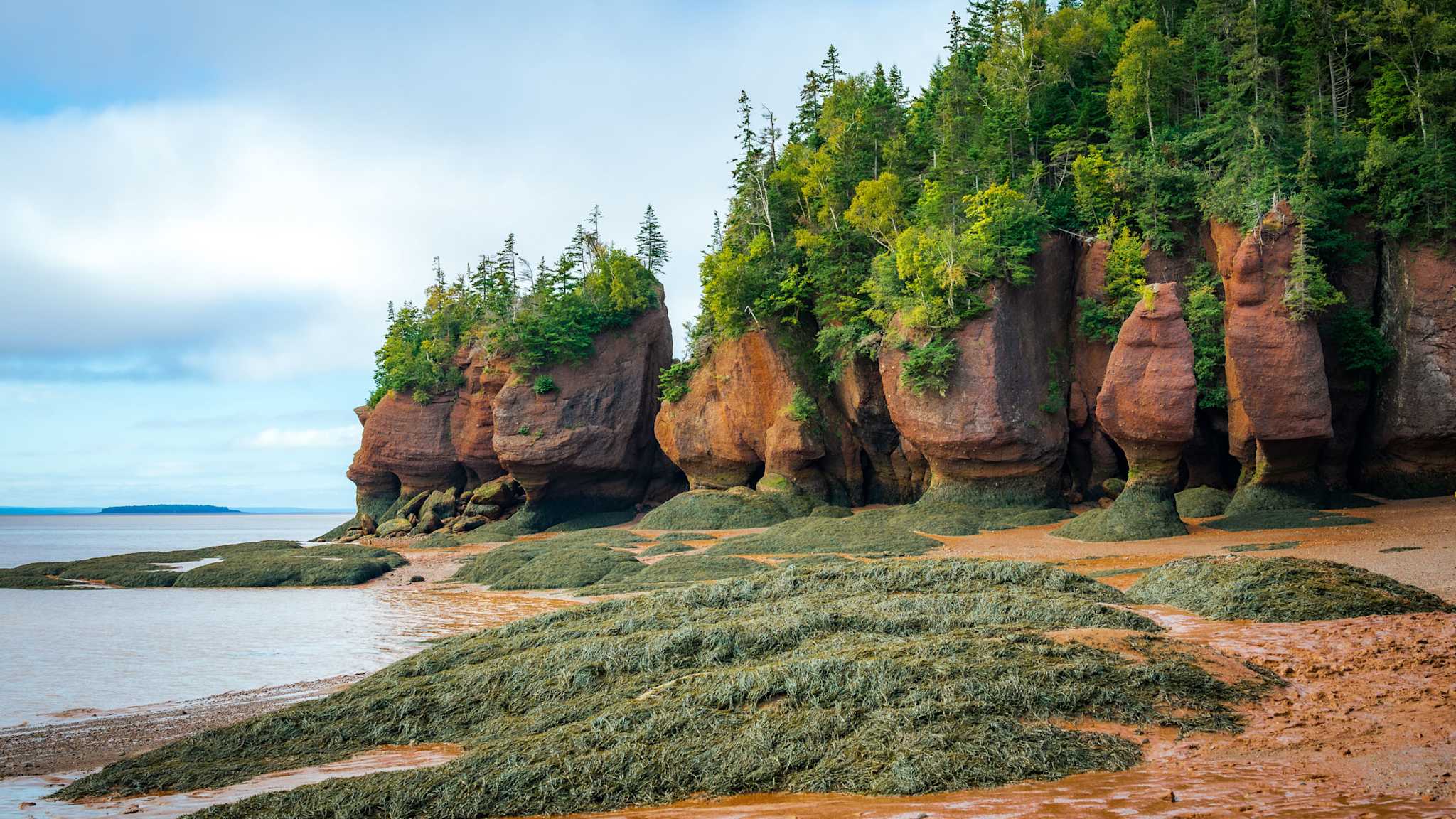 Rötliche Felsen mit grünem Bewuchs ragen bei Ebbe aus dem sandigen Küstenstreifen der Bay of Fundy in New Brunswick, Kanada.