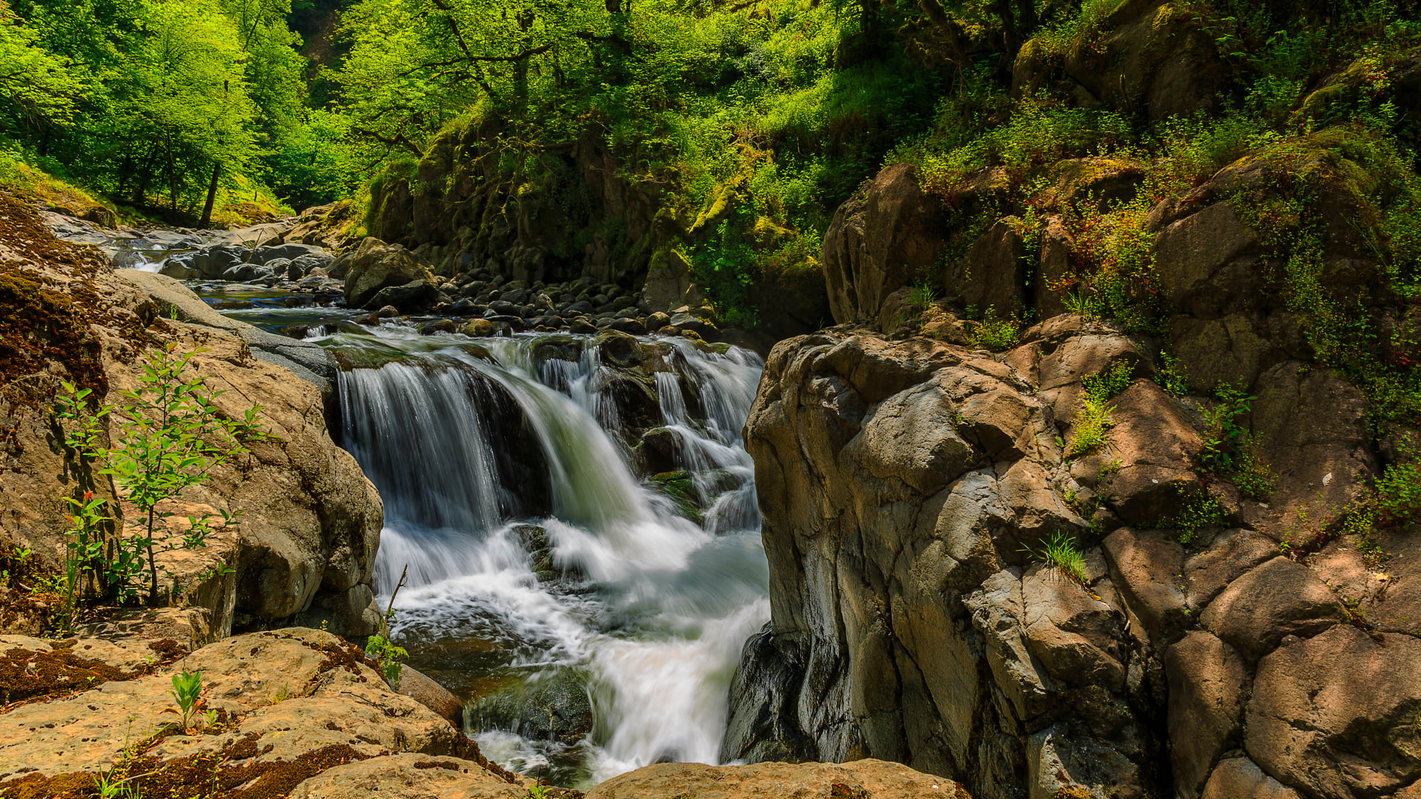 Flusslauf im Hirkan Nationalpark, Aserbaidschan © Azerbaijan Tourism