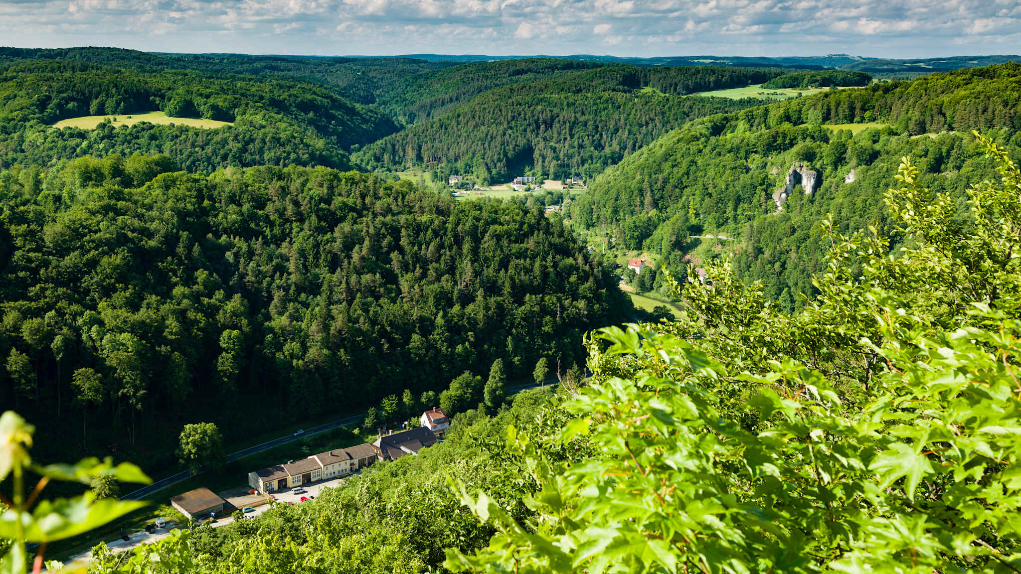 Weitsicht auf grün bewaldete Berge und Täler in der Fränkischen Schweiz.