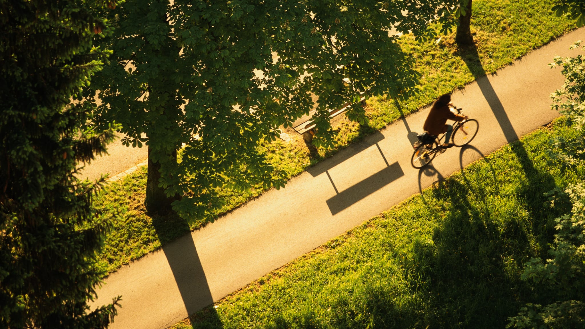 Frau fährt auf einem Radweg © Dennis Degnan/The Image Bank via Getty Images