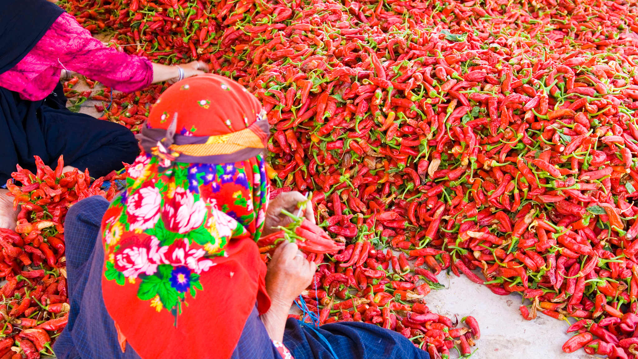 Eine Frau in rotem Kopftuch und blauem Kleid sitzt auf dem Boden. Vor ihr liegt ein riesiger Haufen getrockneter roter Chillis.