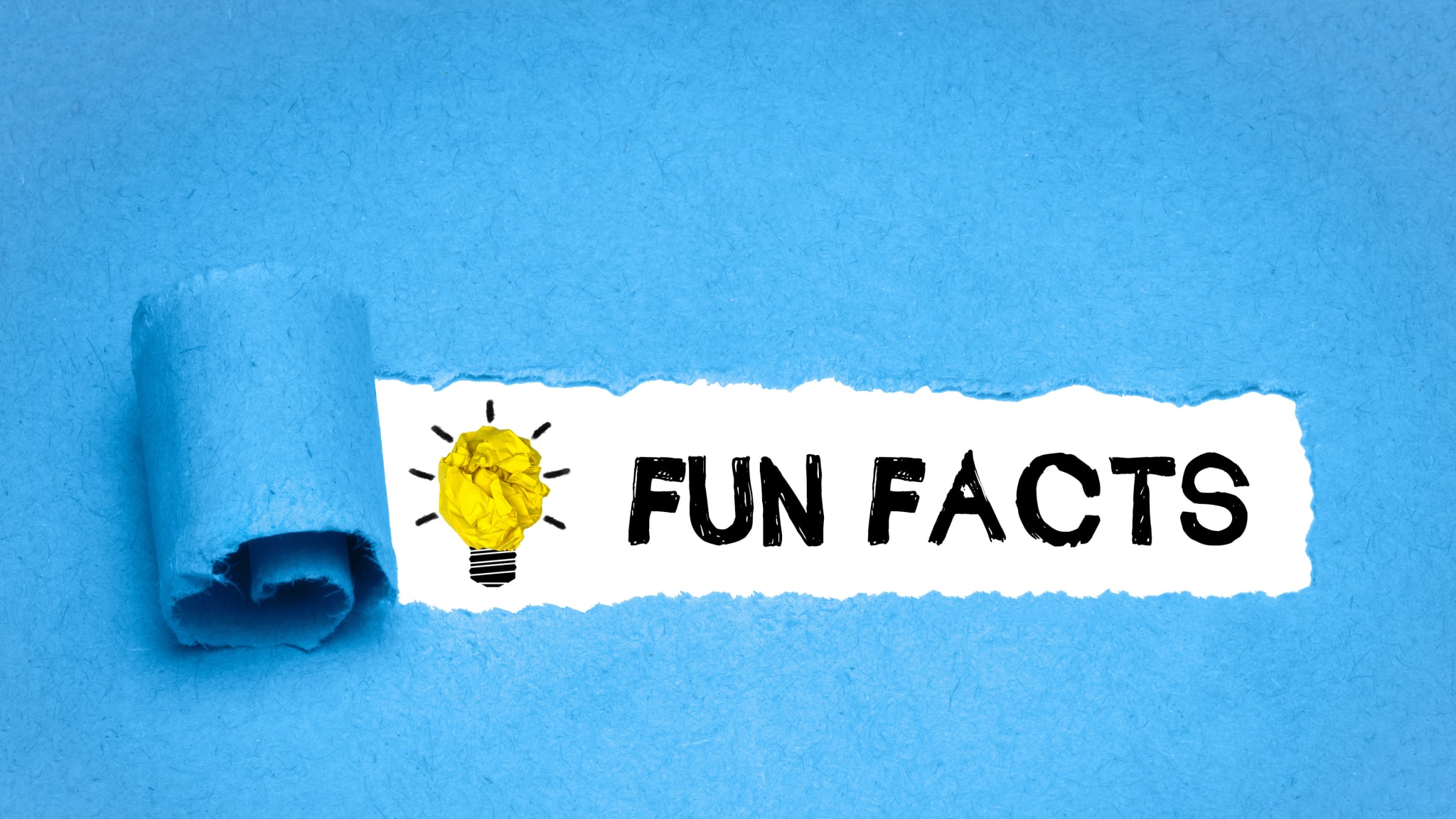 Fun Facts © magele-pictures - stock.adobe.com