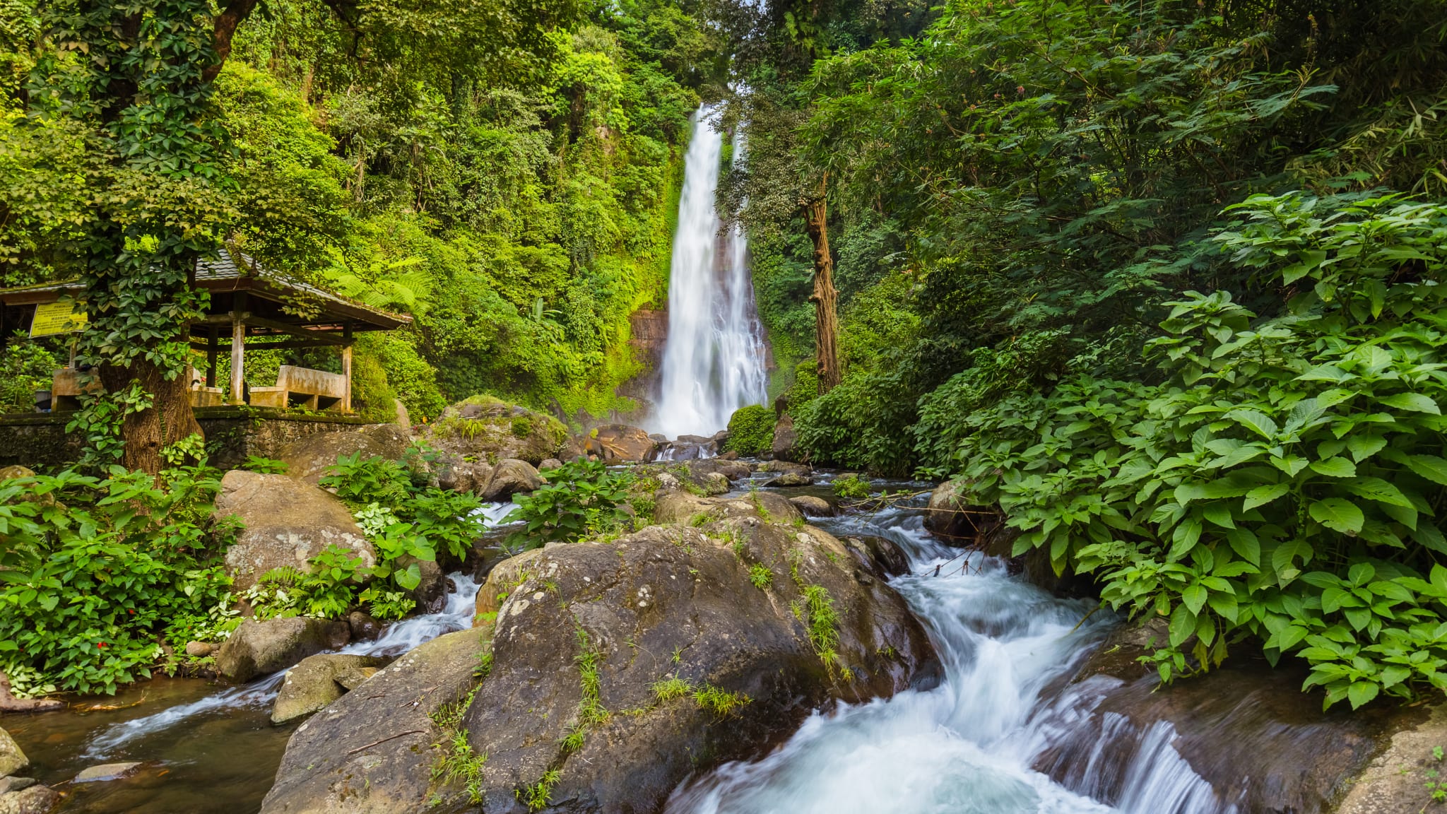 Git-Git Waterfall, Bali, Indonesien © stock.adobe.com - Nikolai Sorokin