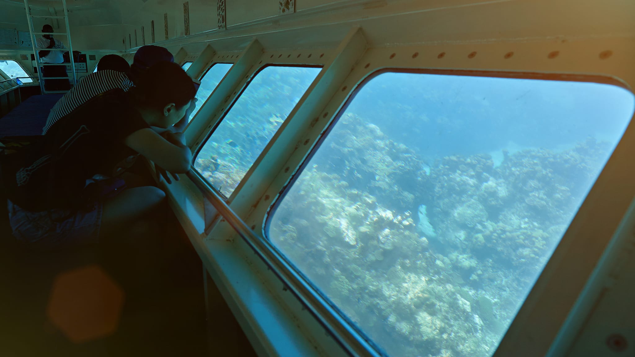 Im Glasbodenboot kann man in Ruhe die Unterwasserwelt beobachten © stock.adobe.com - PixieMe