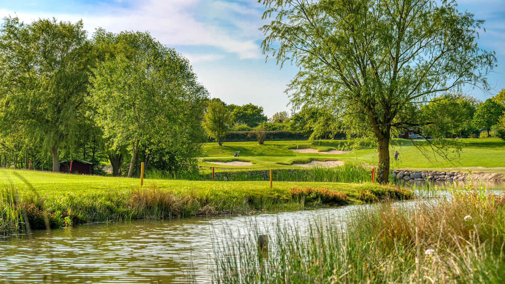 Blick über einen Wassergraben und Schilf auf eine gepflegte Grünfläche mit Bunkern und einzelnen Golfspielern im Golf- und Country Club Hohwacht, umgeben von alten Bäumen unter blauem Himmel.
