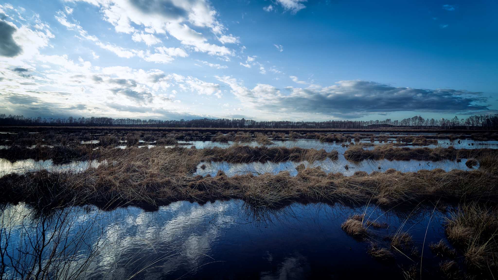 Weite Wasserflächen im Großen Moor bei Gifhorn, die eine fast mystische Ruhe ausstrahlen, umgeben von faszinierender Moorlandschaft.