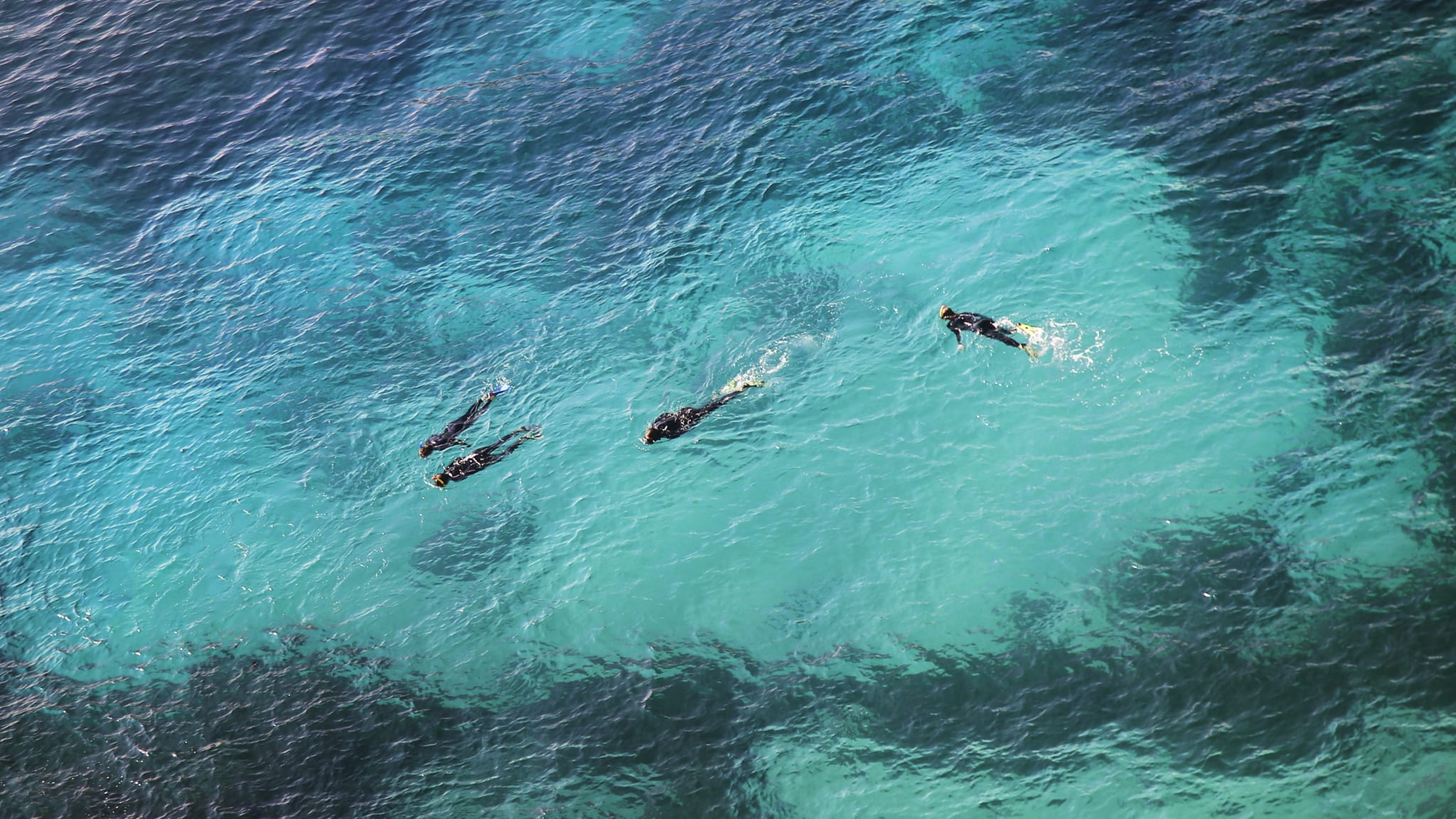 Gruppe von Menschen schnorchelt in der Crystal Lagoon auf Comino © iStock.com/GoodLifeStudio