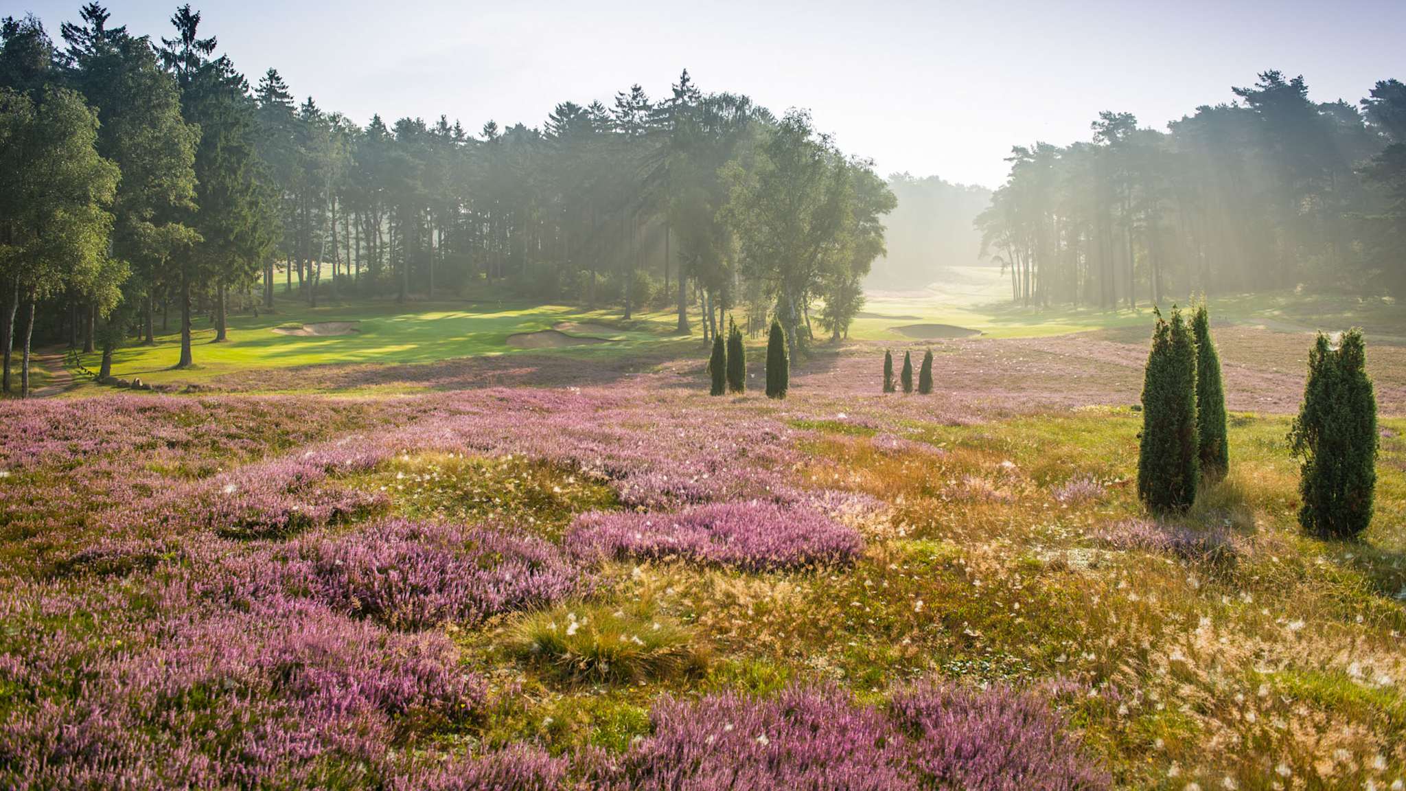 Hamburger Golf-Club Falkenstein