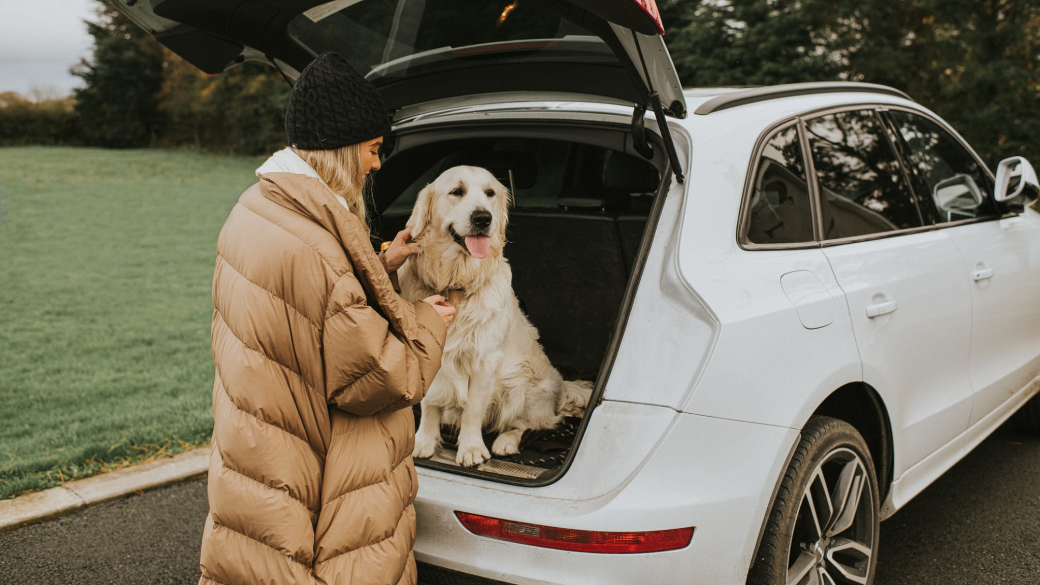 Hund sitzt im offenen Koffferaum © Catherine Falls Commercial/Moment via Getty Images